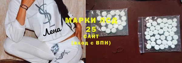 PSILOCYBIN Баксан