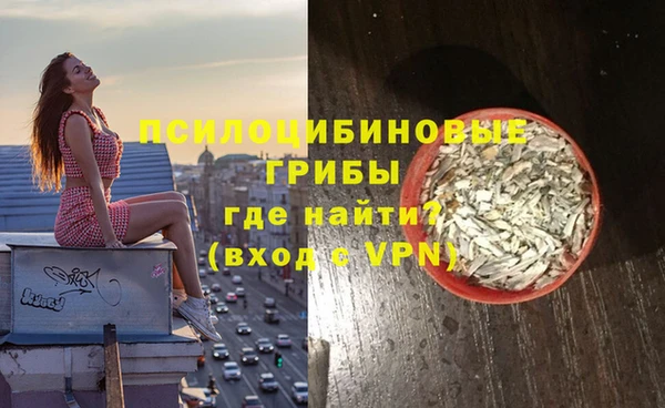 PSILOCYBIN Балахна