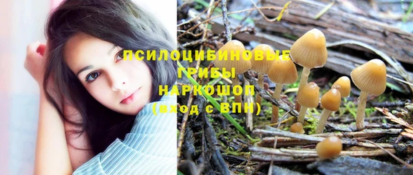 PSILOCYBIN Баксан