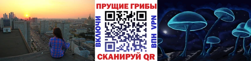 Галлюциногенные грибы MAGIC MUSHROOMS Заводоуковск